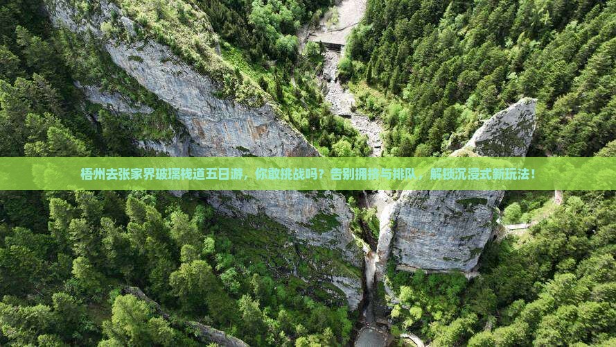 梧州去张家界玻璃栈道五日游