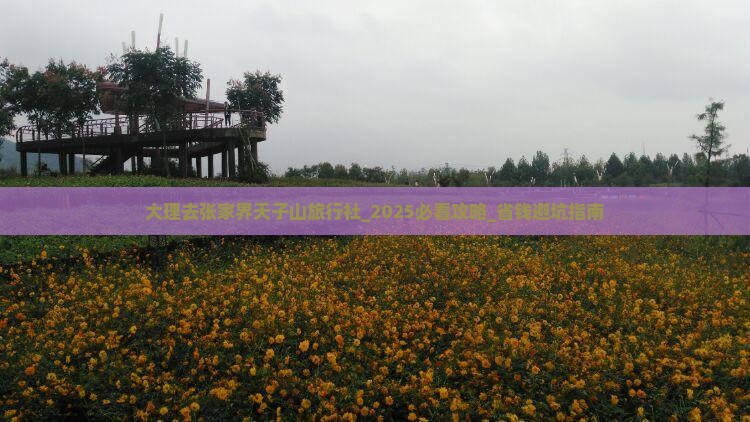 大理去张家界天子山旅行社