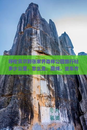 呼伦贝尔到张家界森林公园旅行社