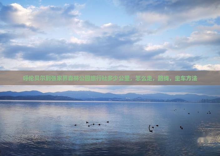 呼伦贝尔到张家界森林公园旅行社