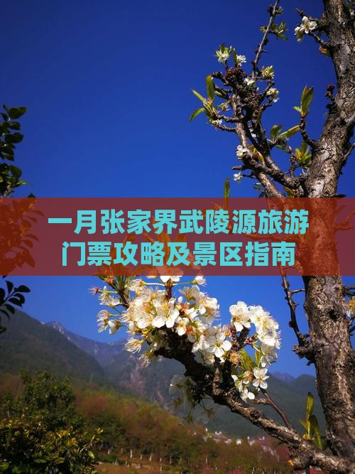 一月到张家界武陵源门票