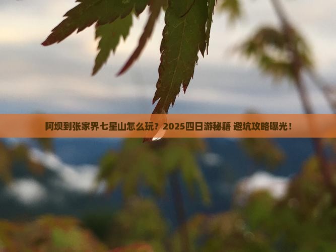 阿坝到张家界七星山四日游