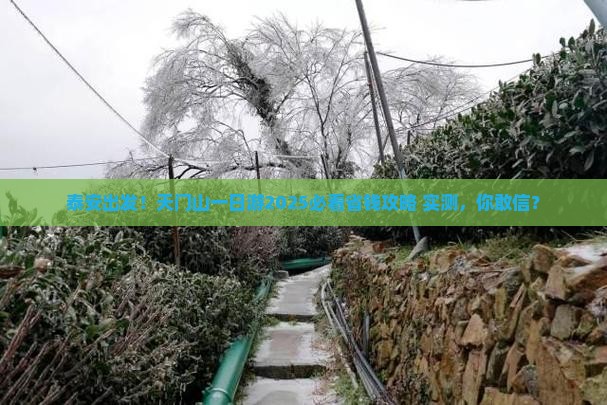 泰安去张家界天门山一日