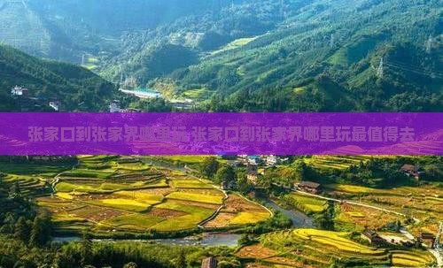 张家口到张家界哪里玩