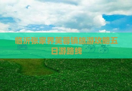 临沂去张家界芙蓉镇五日游