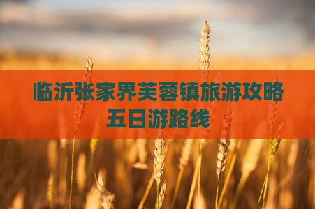 临沂去张家界芙蓉镇五日游