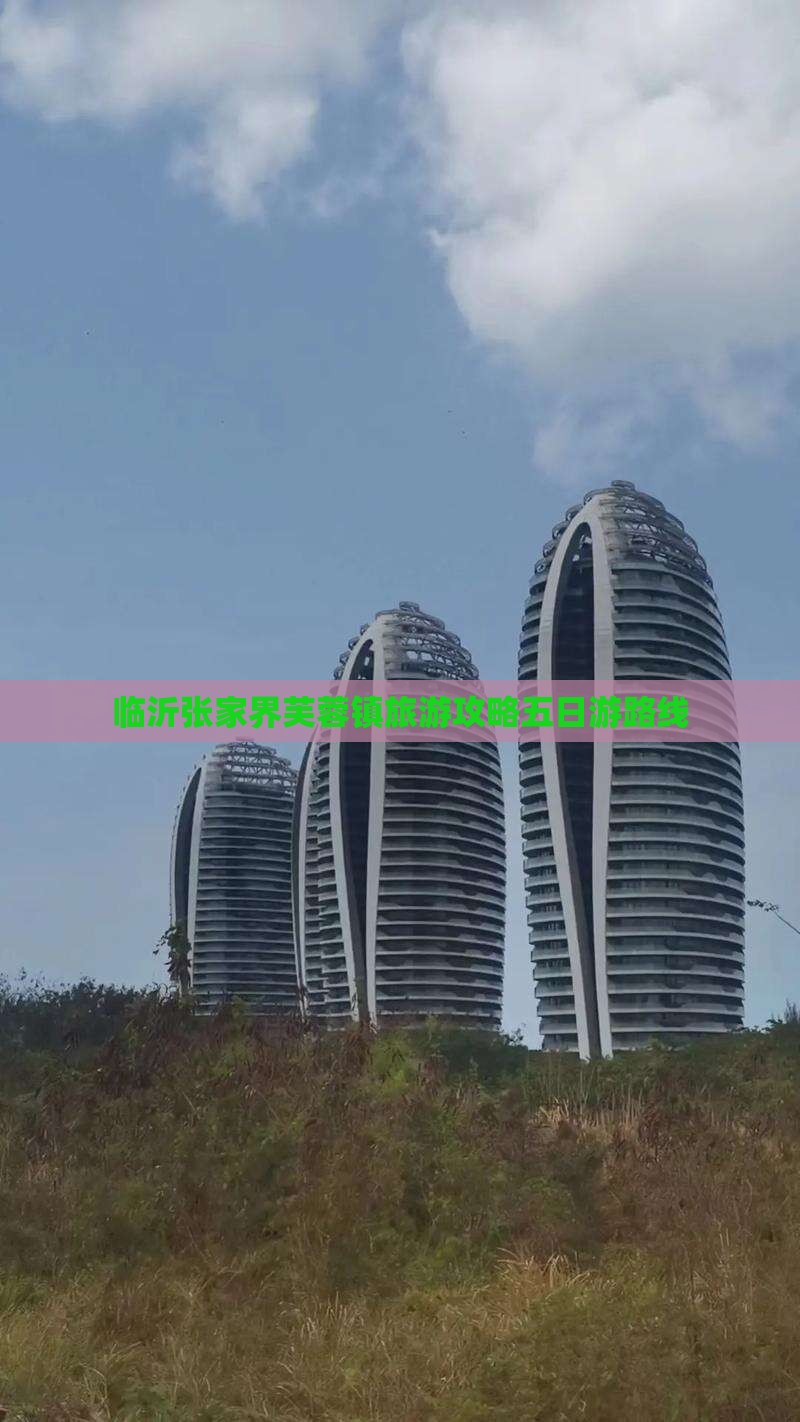 临沂去张家界芙蓉镇五日游