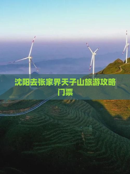 沈阳去张家界天子山门票