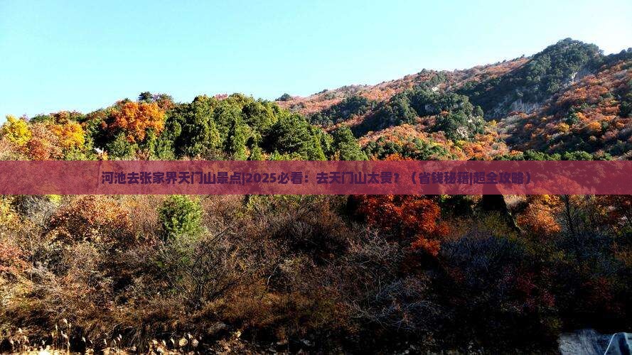 河池去张家界天门山景点