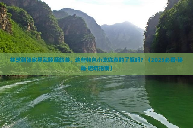 林芝到张家界武陵源旅游小吃