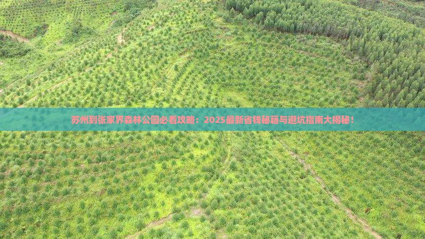 苏州到张家界森林公园必去地