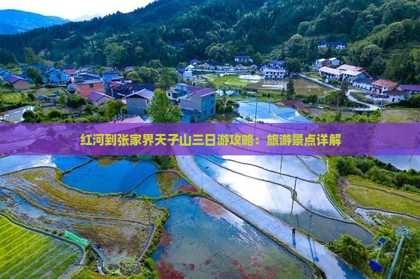 红河到张家界天子山三日游
