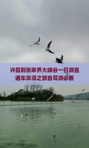 许昌到张家界大峡谷一日