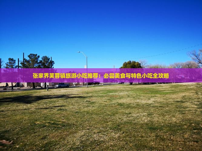 安康到张家界芙蓉镇旅游小吃