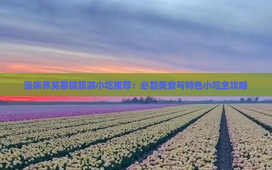 安康到张家界芙蓉镇旅游小吃