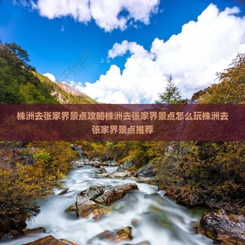 株洲去张家界景点
