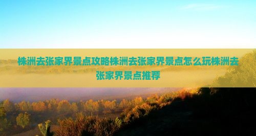 株洲去张家界景点