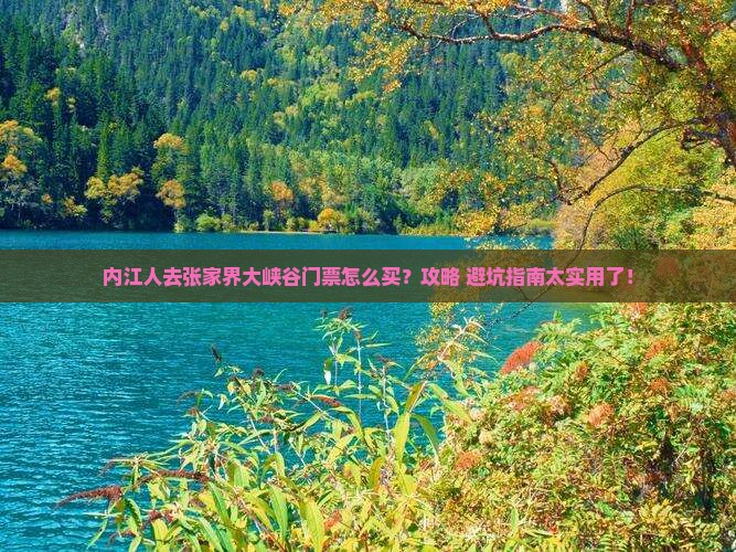 内江去张家界大峡谷门票
