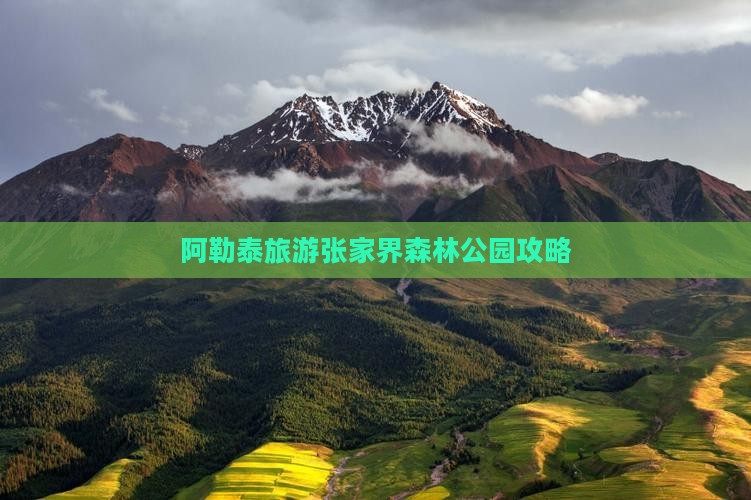 阿泰勒去张家界森林公园攻略