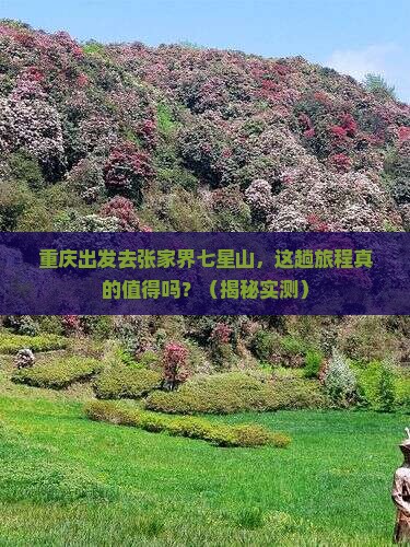 重庆去张家界七星山攻略