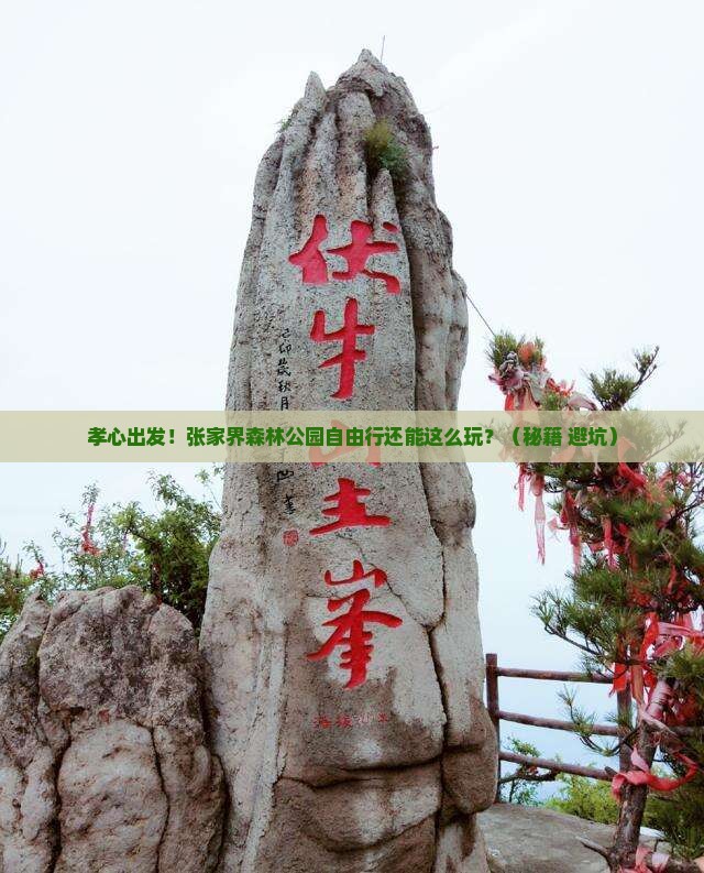 孝感到张家界森林公园自由行
