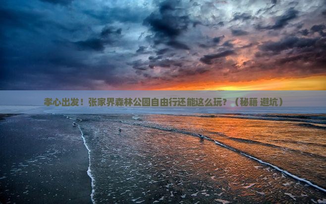 孝感到张家界森林公园自由行