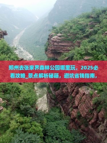 郑州去张家界森林公园哪里玩
