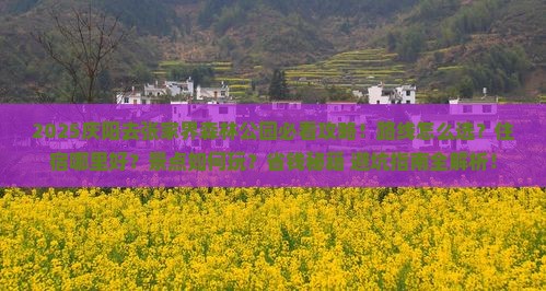 庆阳去张家界森林公园必去地