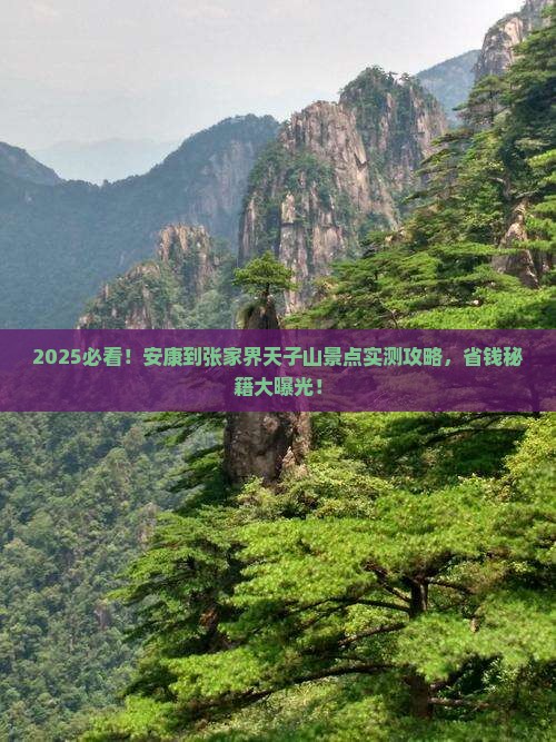 安康到张家界天子山景点