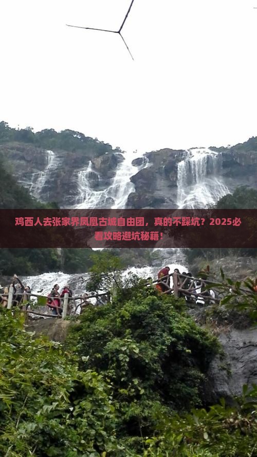 鸡西去张家界凤凰古城自由团