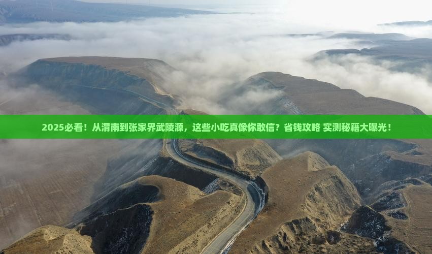 渭南到张家界武陵源旅游小吃