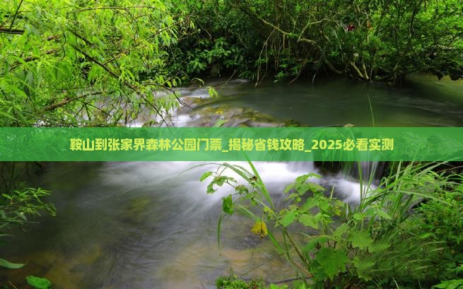 鞍山到张家界森林公园门票