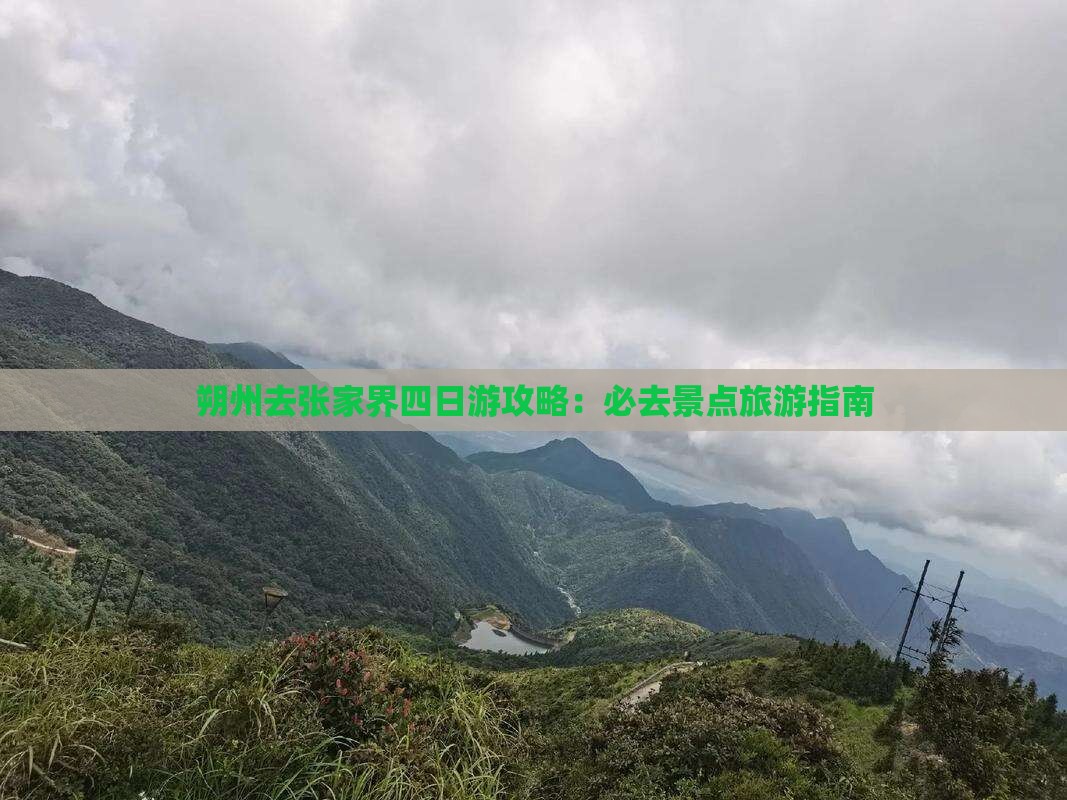 朔州去张家界四日游
