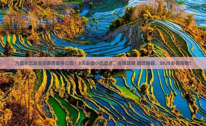 六盘水去张家界森林公园旅游小吃