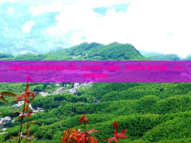 六盘水去张家界森林公园旅游小吃