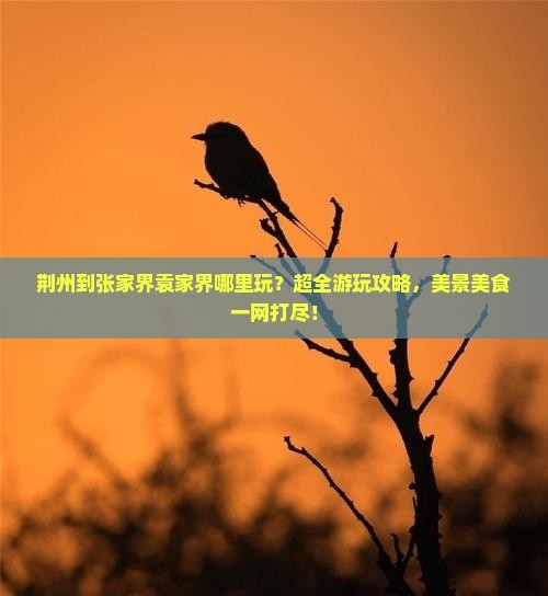 荆州到张家界袁家界哪里玩
