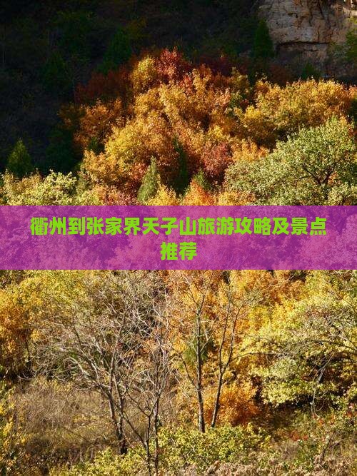 衢州到张家界天子山旅游