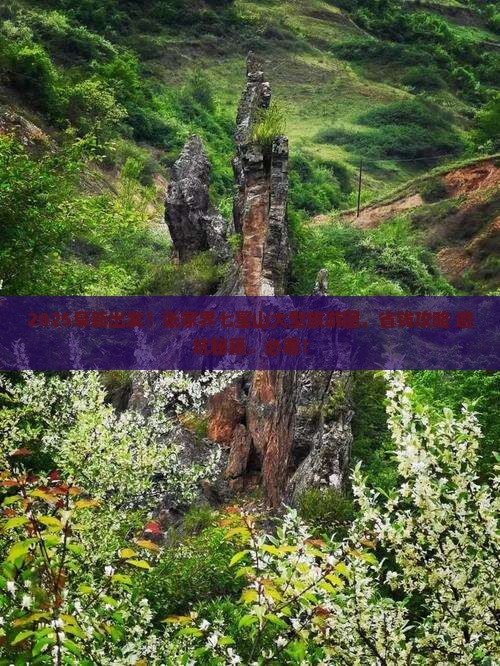阜新到张家界七星山大型旅游团 阜新到张家界七星山大型旅游团