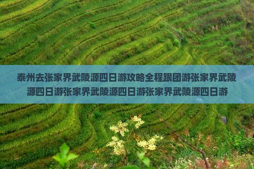 泰州去张家界武陵源四日游 泰州去张家界武陵源四日游