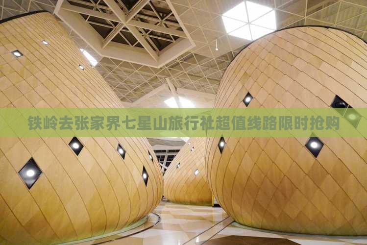 铁岭去张家界七星山旅行社