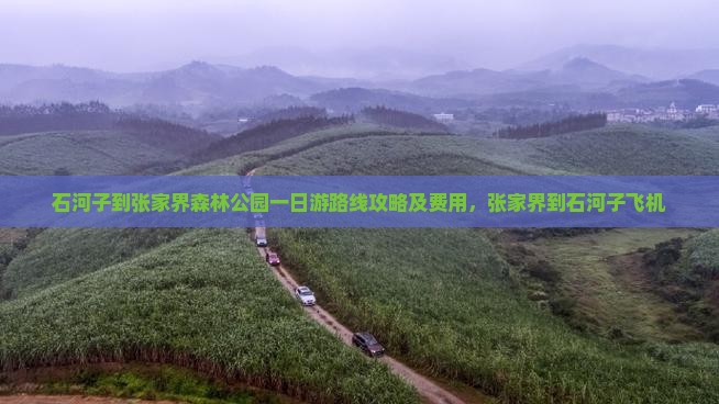 石河子到张家界森林公园一日