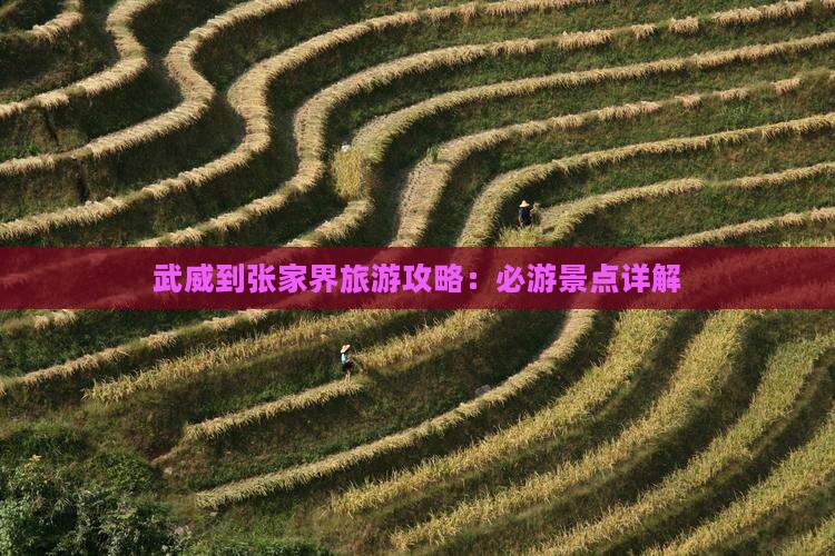 武威到张家界袁家界团体旅游
