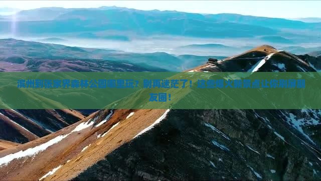 滨州到张家界森林公园哪里玩