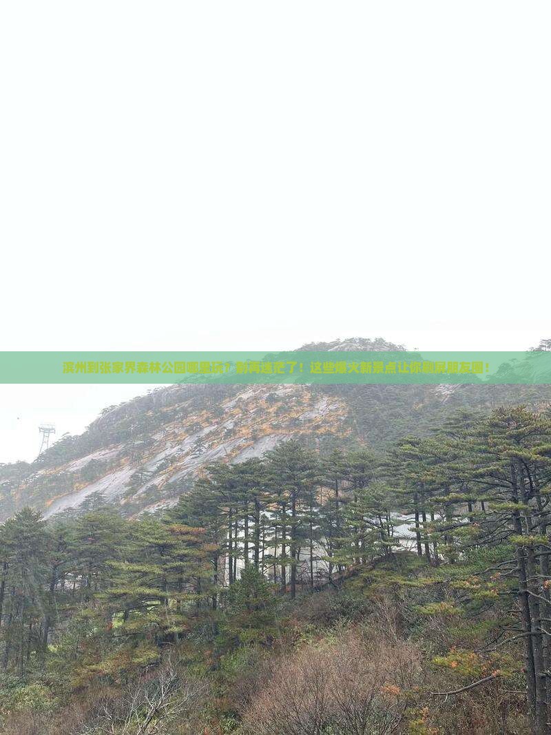 滨州到张家界森林公园哪里玩