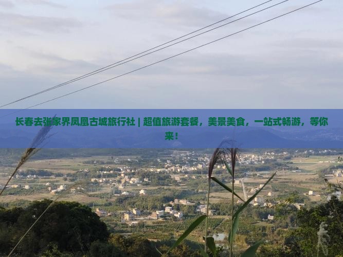 长春去张家界凤凰古城旅行社