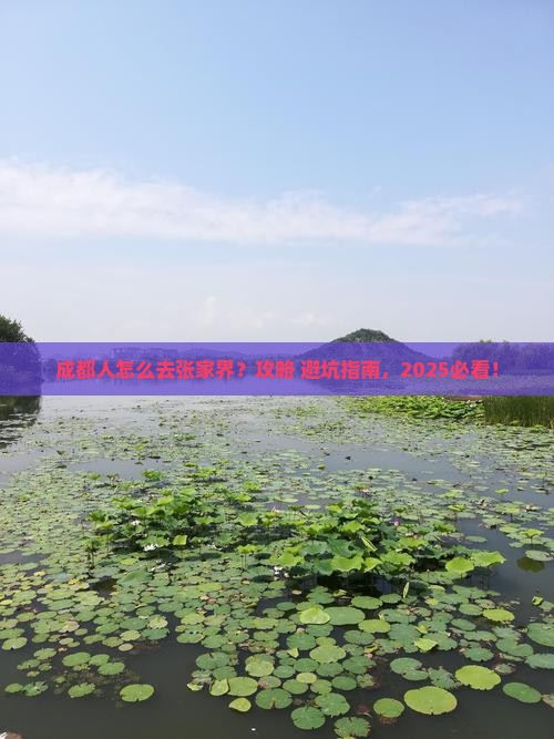 成都去张家界森林公园景点