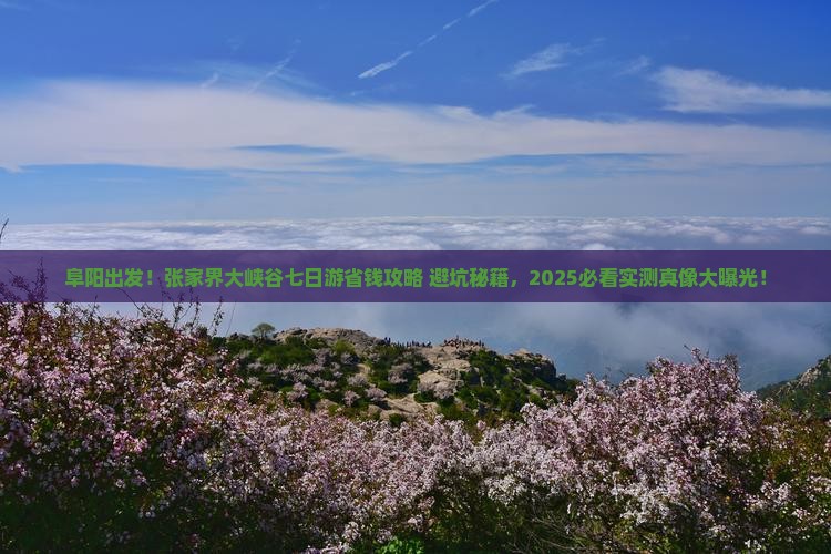 阜阳去张家界大峡谷七日游