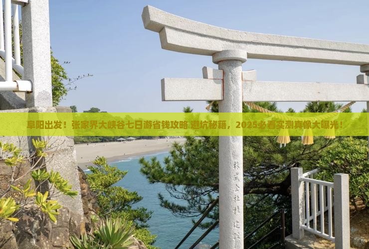 阜阳去张家界大峡谷七日游