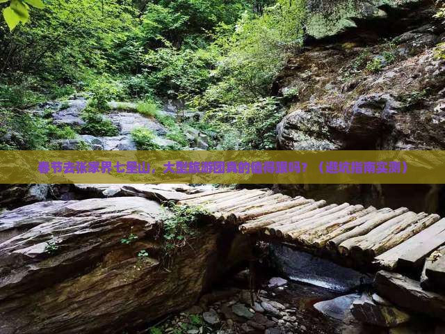 春节到张家界七星山大型旅游团