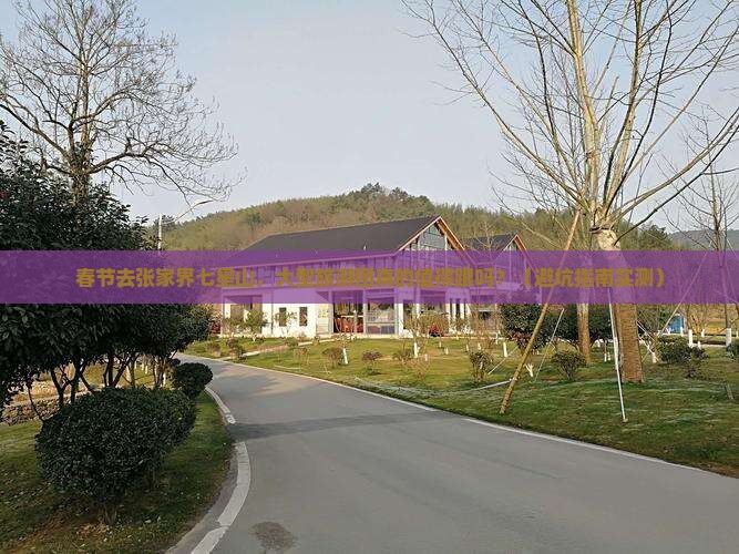 春节到张家界七星山大型旅游团